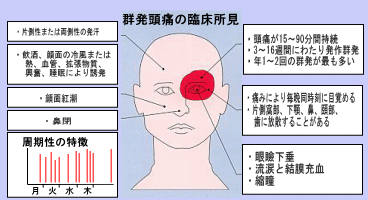 目 奥 の こめかみ 頭痛